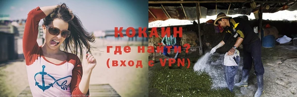твердый Кукмор