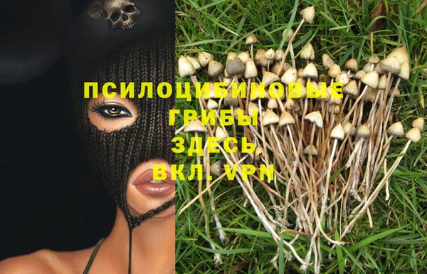 MDMA Куйбышев
