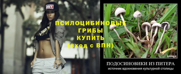 твердый Кулебаки