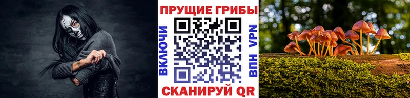 Псилоцибиновые грибы Psilocybine cubensis  Жирновск 